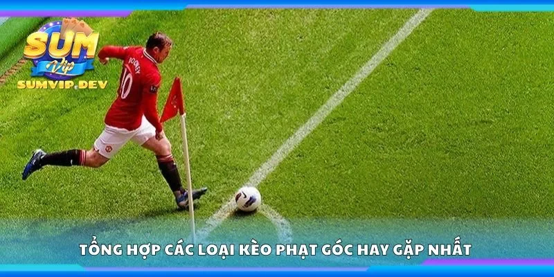 Tổng hợp các loại kèo phạt góc hay gặp nhất 