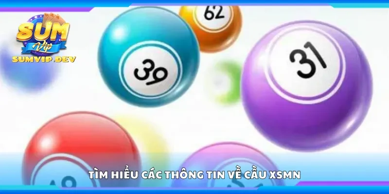 Tìm hiểu các thông tin về cầu xsmn